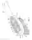Fig. 03 - Oral care implement