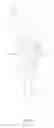 Fig. 06 - Multifunctional bottle washing brush