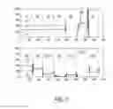 Fig. 06 - OPTICAL VITAL SIGNS SENSOR