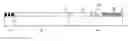 Fig. 01 - Modular sensing guidewire