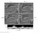 Fig. 08 - Apparatus for ultrasound flow vector imaging and methods thereof
