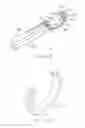 Fig. 45 - Apparatus and method for minimally invasive suturing