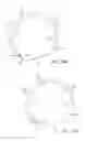 Fig. 23 - Apparatus and method for minimally invasive suturing