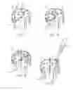 Fig. 07 - ORTHOPEDIC BONE STAPLE WITH POLYAXIAL COMPRESSION CAPABILITY