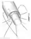 Fig. 19 - SPECIMEN RETRIEVAL DEVICE, METHOD AND KIT