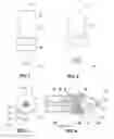 Fig. 02 - Automatic aesthetic treatment device and method