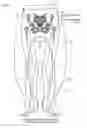 Fig. 08 - Surgical assistance apparatus, program, storage medium, and surgical assistance method
