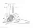 Fig. 01 - Systems and methods for installing ankle replacement prostheses