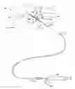 Fig. 01 - Cervical distraction method