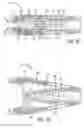 Fig. 27 - Geared cam expandable interbody implant and method of implanting same