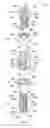Fig. 46 - Expandable vertebral body replacement device and method