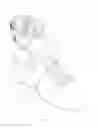 Fig. 06 - Functional ankle supports with improved movement and comfort