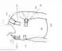 Fig. 08 - Posture performance garment