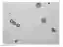 Fig. 01 - CAPSULES CONTAINING POLYVINYL ALCOHOL