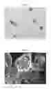 Fig. 02 - CAPSULES CONTAINING POLYVINYL ALCOHOL