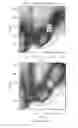 Fig. 22 - Inhibitors of short-chain dehydrogenase activity for modulating hematopoietic stem cells and hematopoiesis