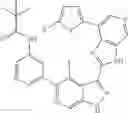 Fig. 769 - 3-(3H-imidazo[4,5-C]pyridin-2-yl)-1H-pyrazolo[3,4-C]pyridine and therapeutic uses thereof