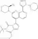 Fig. 320 - 2-(morpholin-4-yl)-1,7-naphthyridines
