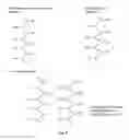 Fig. 03 - COMPOSITION COMPRISING POLYGLUCOSAMINE-GLYOXYLATE SOLUTIONS MIXED WITH HYALURONAN