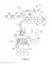 Fig. 04 - Redox signaling gel formulation