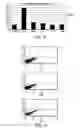 Fig. 08 - Modulated immunodominance therapy