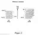 Fig. 02 - Stabilizing alkylglycoside compositions and methods thereof