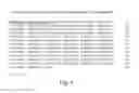 Fig. 02 - RECOMBINANT HUMAN NAGLU PROTEIN AND USES THEREOF