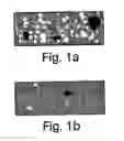 Fig. 02 - COMPOSITIONS AND KITS FOR COMPOUNDING PHARMACEUTICALS