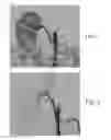 Fig. 02 - Polymeric treatment compositions
