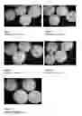 Fig. 02 - Process for the production of solid cooling agents