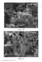 Fig. 02 - Method of preparing platinum-based catalyst and platinum-based catalyst