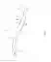 Fig. 05 - Safety razor handle