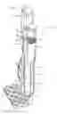 Fig. 01 - Cellular fabrication and apparatus for additive manufacturing