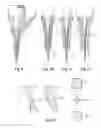 Fig. 07 - Cellular fabrication and apparatus for additive manufacturing