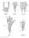 Fig. 08 - Cellular fabrication and apparatus for additive manufacturing
