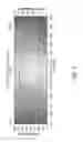 Fig. 08 - Vehicle adaptive lighting system