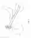 Fig. 02 - Vehicle steering head