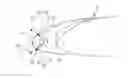 Fig. 01 - Anti-icing system and aircraft