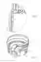 Fig. 04 - Dispenser for dosing tablets or powders
