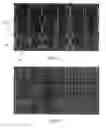 Fig. 09 - METHOD FOR BREAKING OUT A SHEET OF GLASS