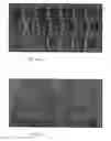 Fig. 10 - METHOD FOR BREAKING OUT A SHEET OF GLASS