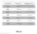 Fig. 09 - Composites