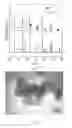 Fig. 02 - Method for coating metal nanoparticles on oxide ceramic powder surface