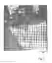 Fig. 06 - POROUS MATERIAL INCLUDING CARBON NANOHORNS AND USE THEREOF