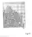 Fig. 09 - POROUS MATERIAL INCLUDING CARBON NANOHORNS AND USE THEREOF