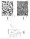 Fig. 03 - Formation of voids within components formed from porous substrates