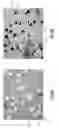 Fig. 04 - Formation of voids within components formed from porous substrates