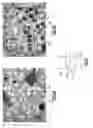Fig. 05 - Formation of voids within components formed from porous substrates