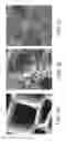 Fig. 03 - Biochars for use in composting
