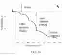 Fig. 16 - Biochars for use in composting